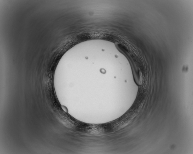 X0000099550601200806061518