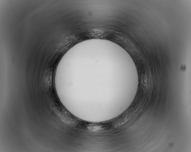 X0000099550602200806061518