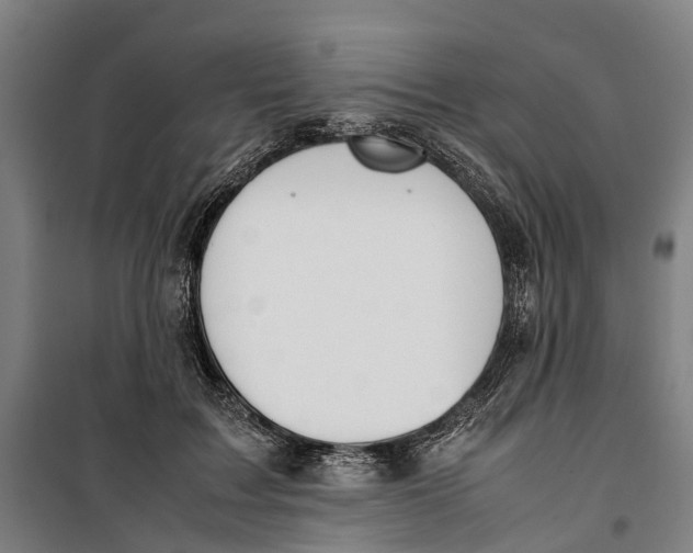 X0000099550603200806061518