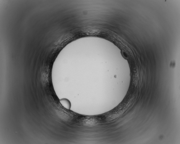 X0000099550604200806061518