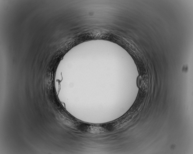 X0000099550605200806061518