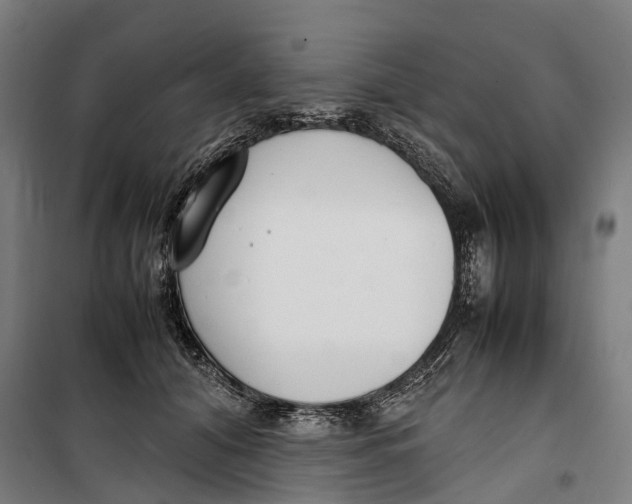 X0000099550608200806061518