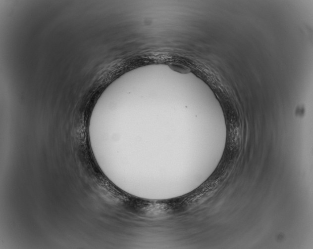 X0000099550609200806061518