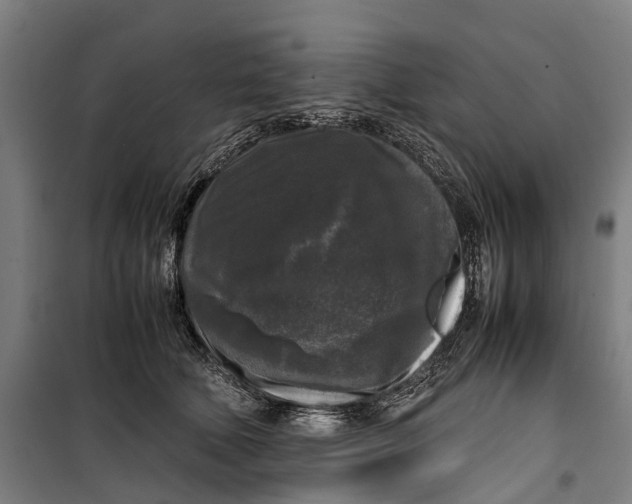 X0000099550610200806061518