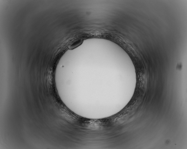 X0000099550612200806061518