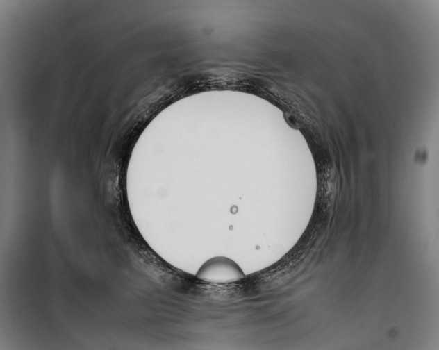 X0000099550615200806061518