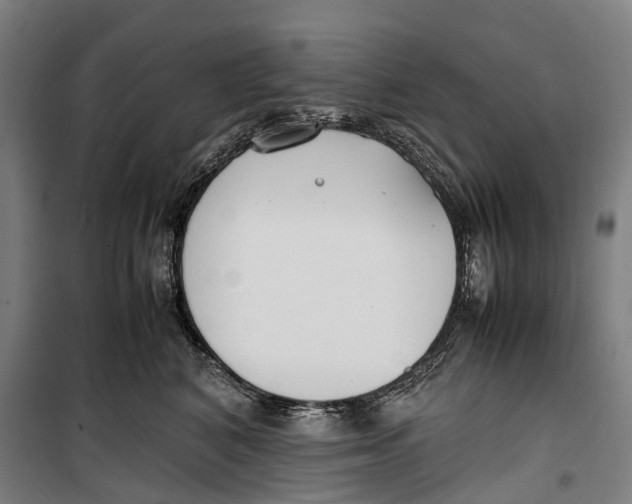 X0000099550616200806061518