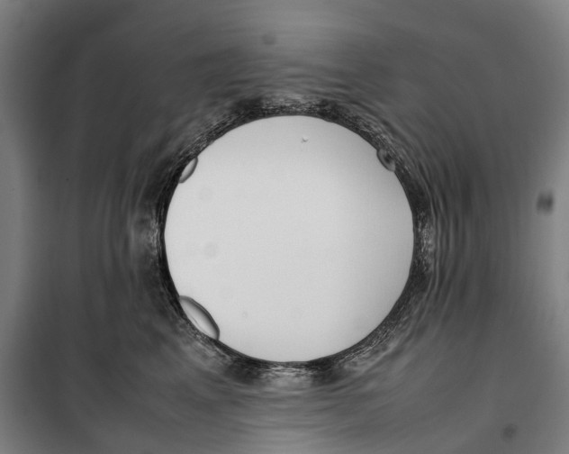 X0000099550617200806061518