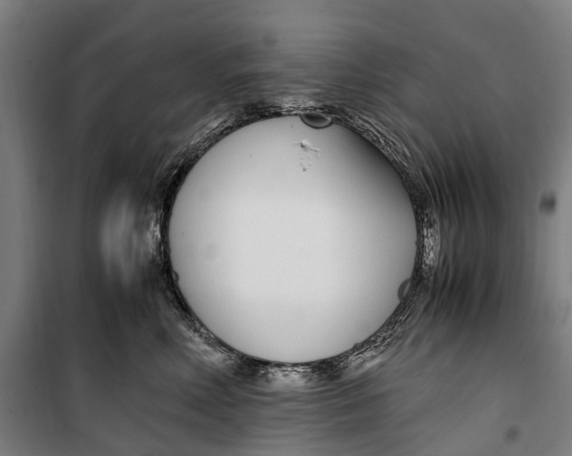 X0000099550618200806061518