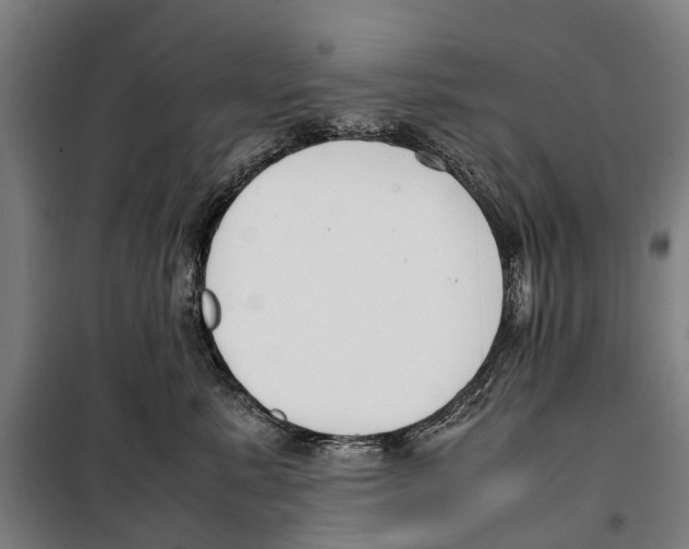 X0000099550619200806061518