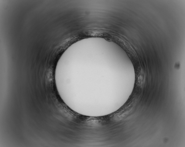 X0000099550620200806061518