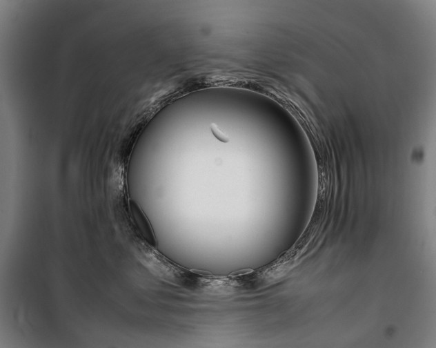 X0000099550621200806061518