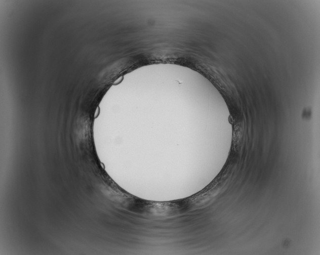 X0000099550623200806061518