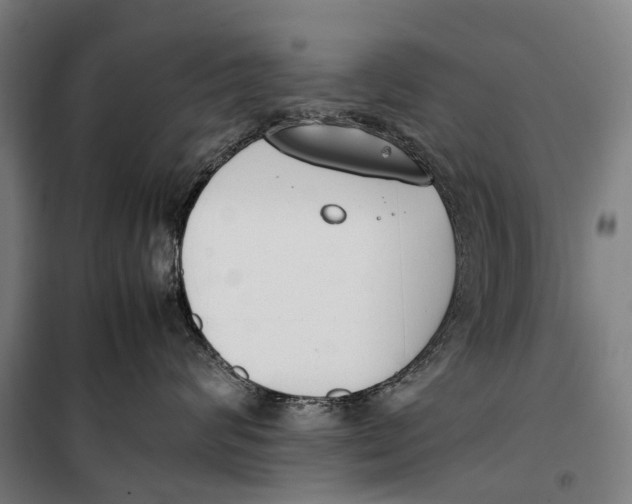 X0000099550624200806061518