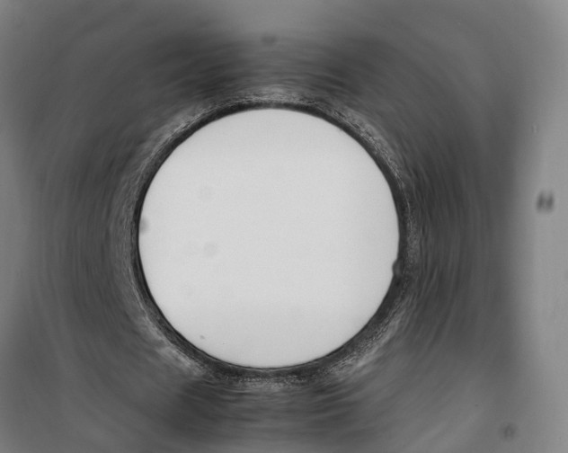 X0000099550625200806061517