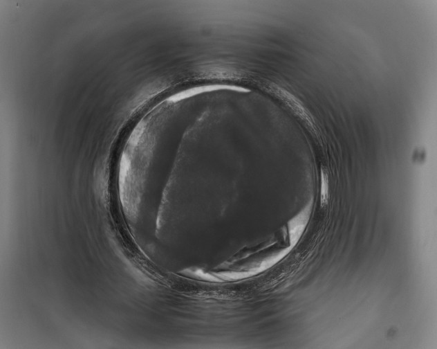 X0000099550627200806061517