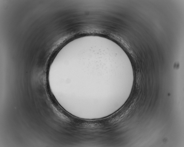 X0000099550629200806061517