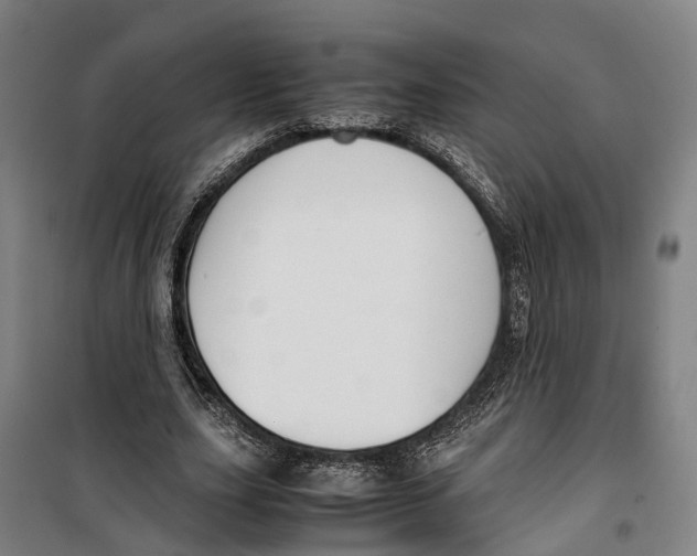 X0000099550631200806061517