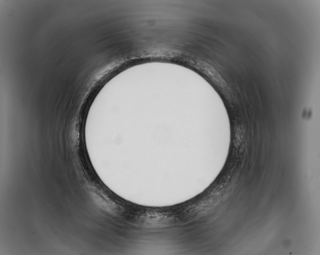 X0000099550632200806061517