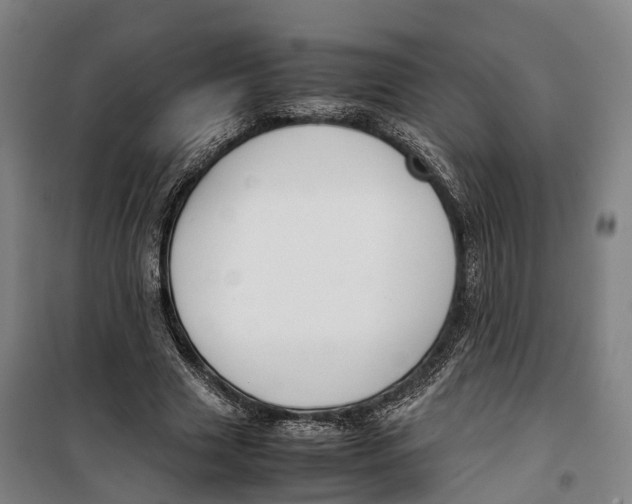 X0000099550633200806061517