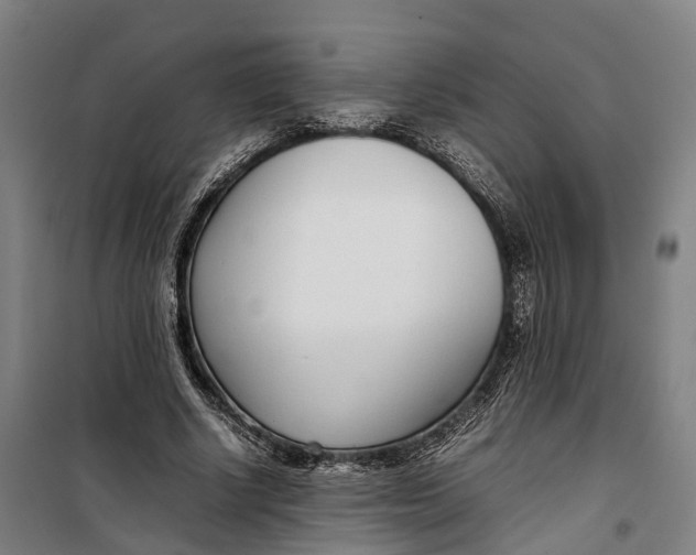 X0000099550634200806061517