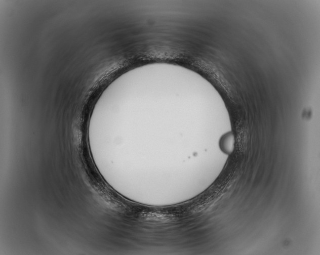 X0000099550635200806061517