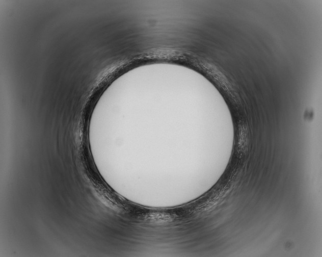 X0000099550636200806061517