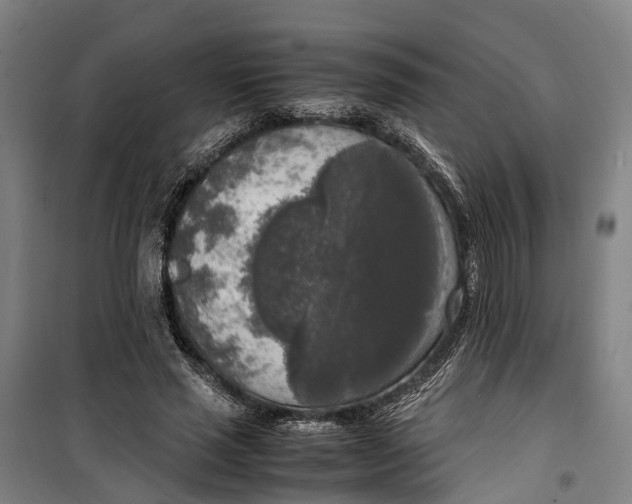 X0000099550637200806061517