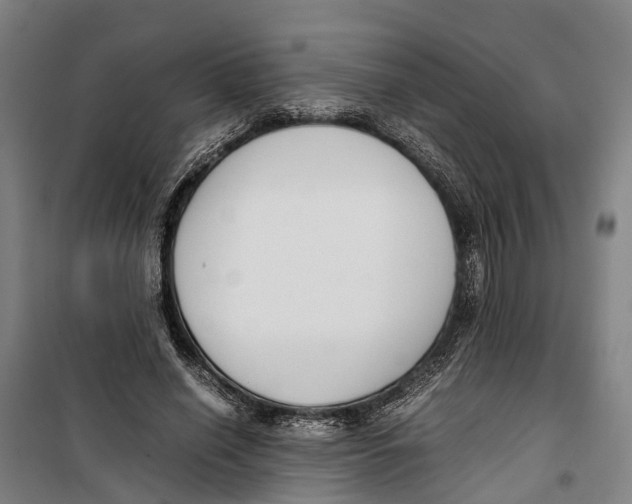 X0000099550638200806061517