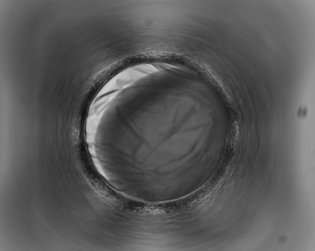 X0000099550640200806061517