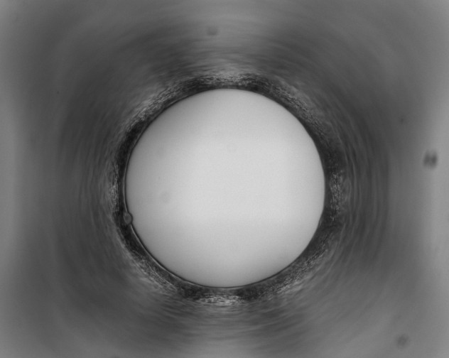 X0000099550642200806061517