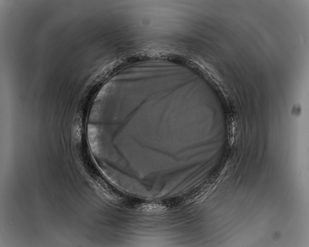 X0000099550644200806061517