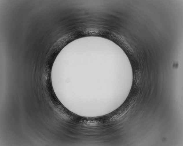 X0000099550645200806061517