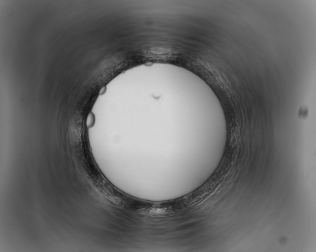 X0000099550647200806061518