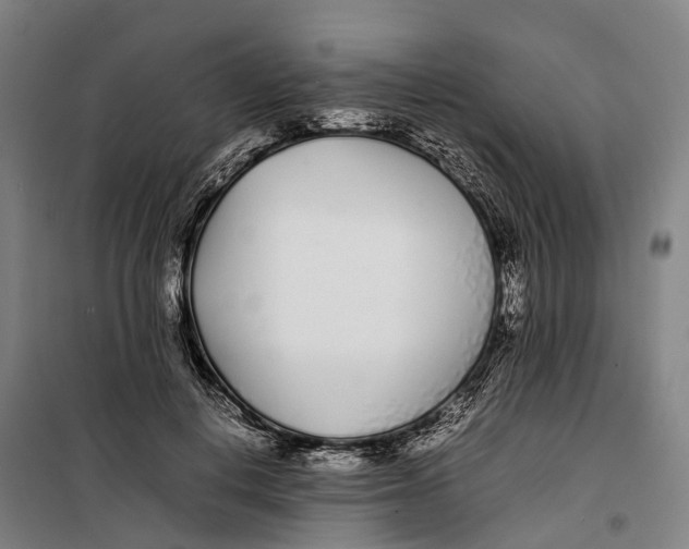 X0000099550648200806061518