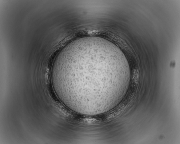 X0000099550650200806061518