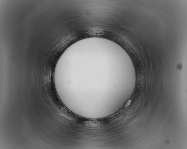 X0000099550652200806061518