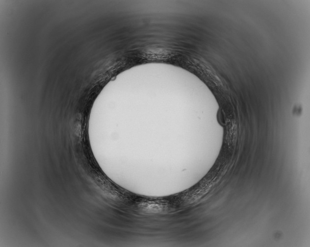 X0000099550655200806061518