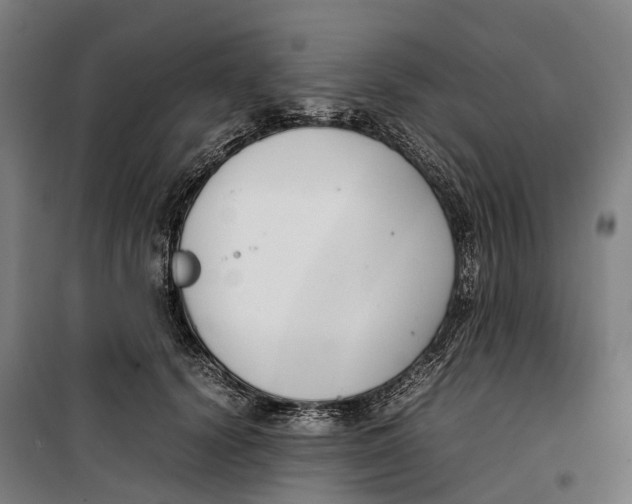 X0000099550656200806061518