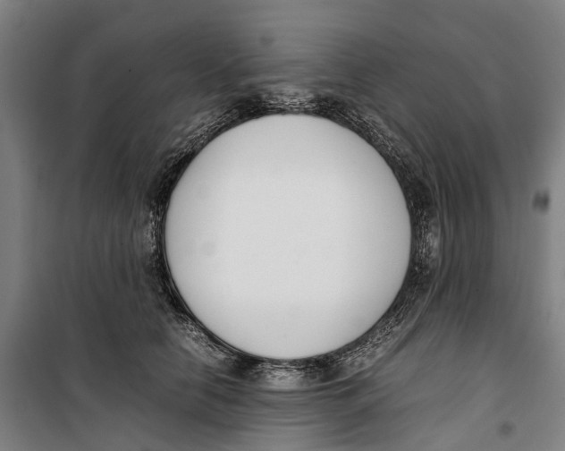 X0000099550658200806061518