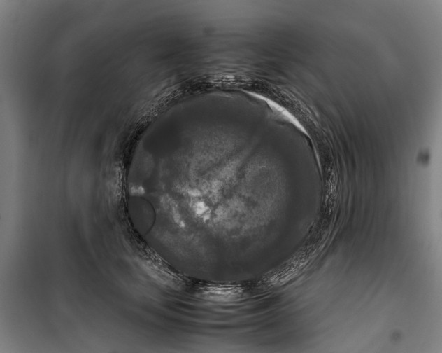 X0000099550659200806061518