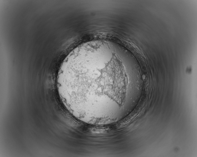 X0000099550661200806061518