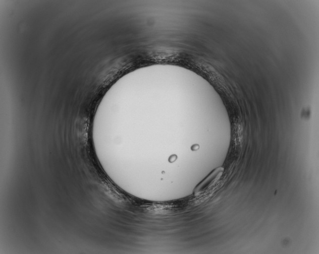 X0000099550664200806061518