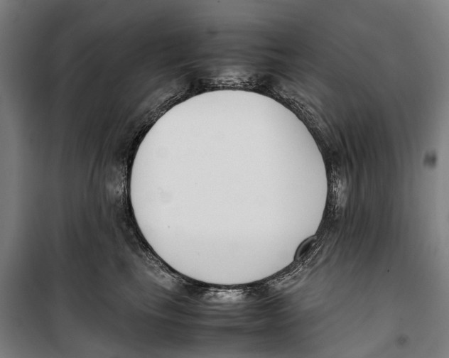 X0000099550665200806061518