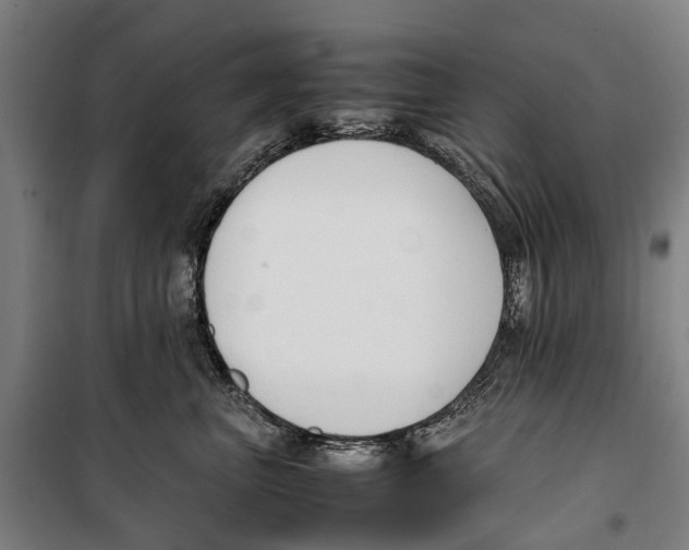 X0000099550667200806061518