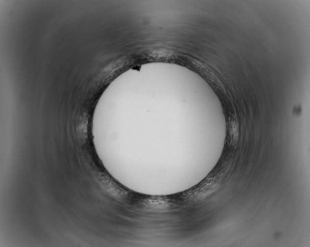 X0000099550668200806061518