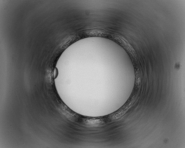 X0000099550669200806061518