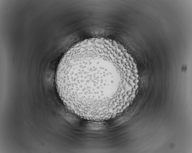 X0000099550671200806061518