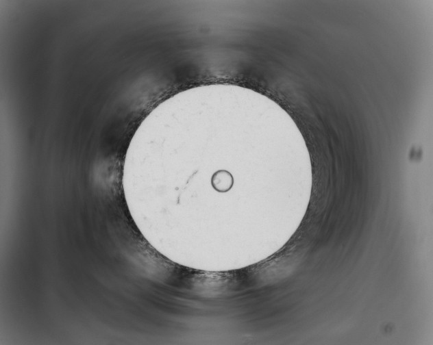 X0000099550672200806061518