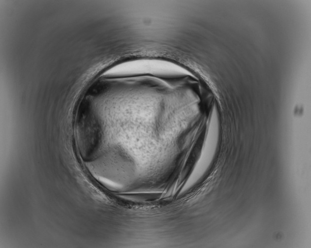 X0000099550673200806061517